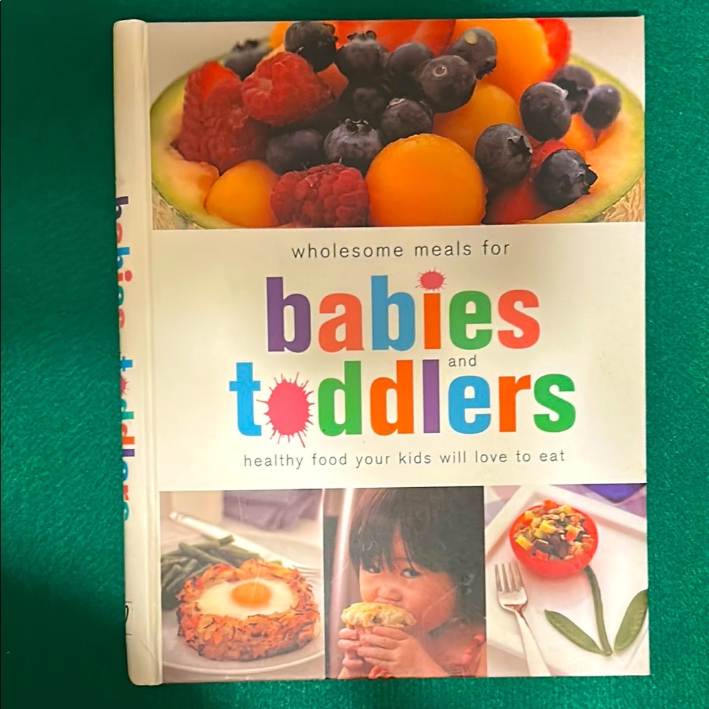 Wholesome Meals for Babies and Toddlers Book